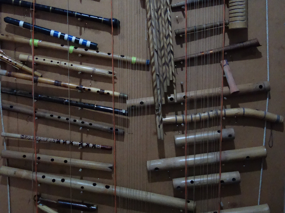 Gurminj Museum of Music Instruments-杜尚别必去景点