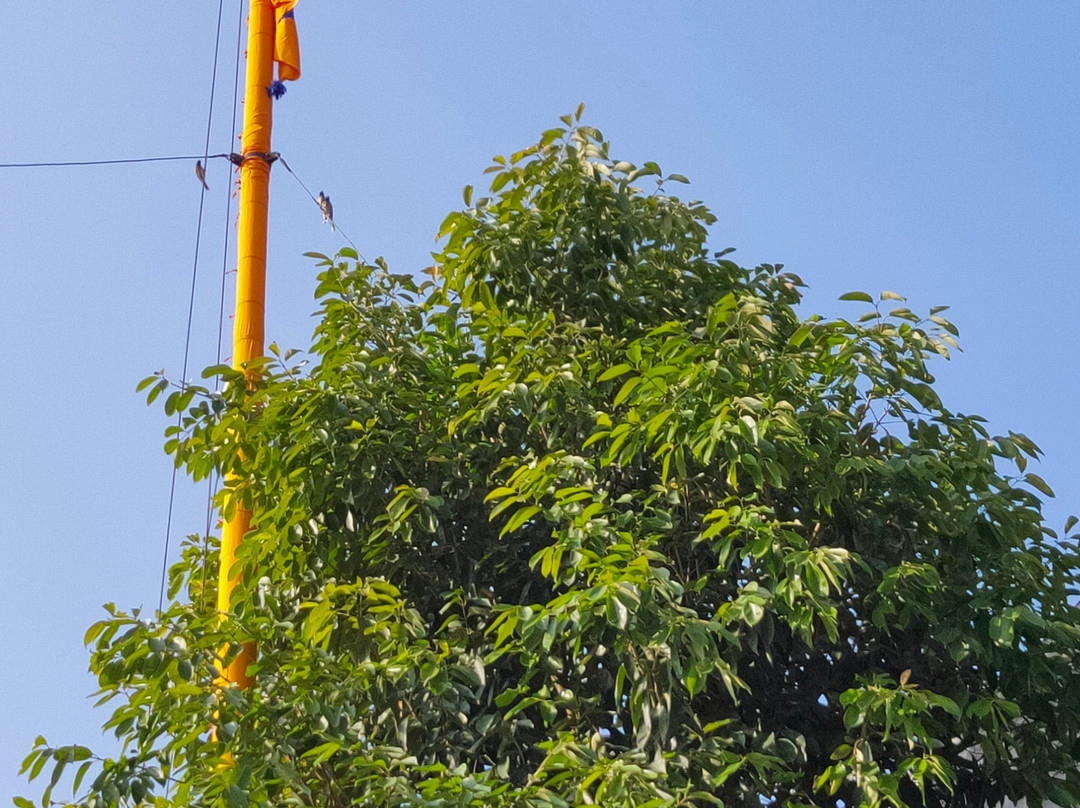 Jhulna Mahal景点图片
