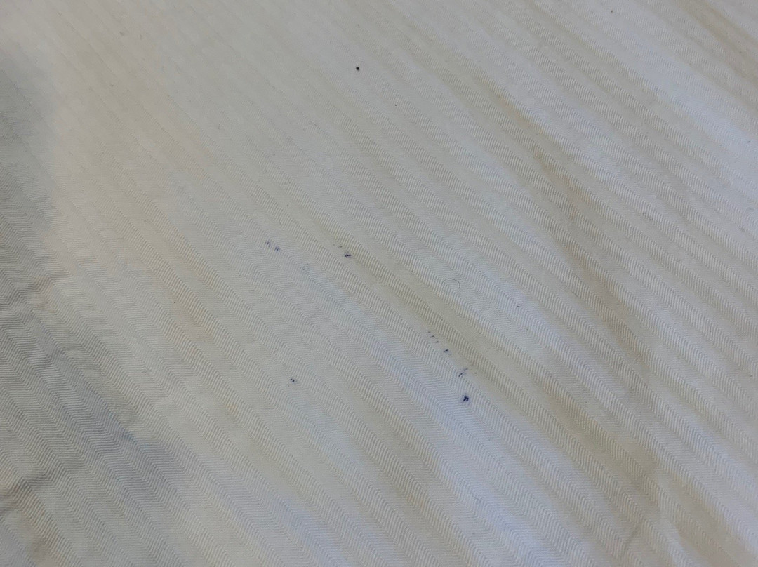 Microtel Inn & Suites by Wyndham Kenedy主图