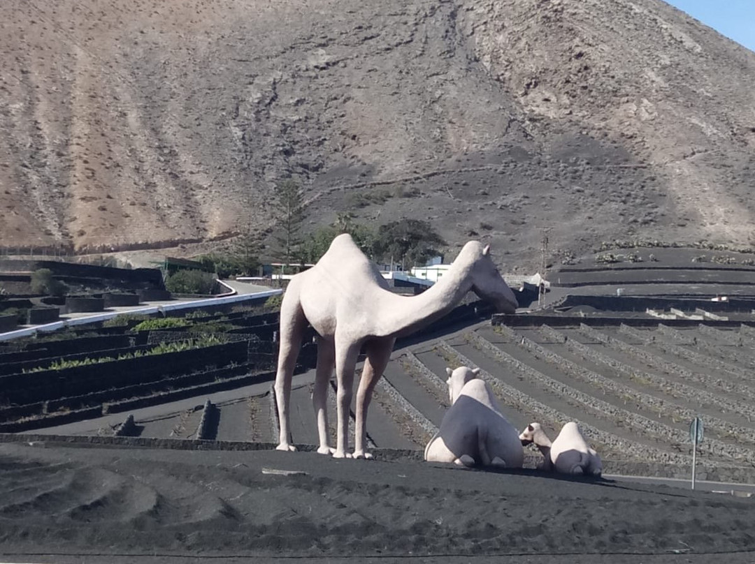 Parroquia de Nuestra Senora Del Carmen-布兰卡滩必去景点