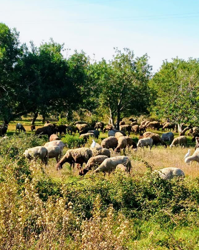 Via Verde de Denia景点图片