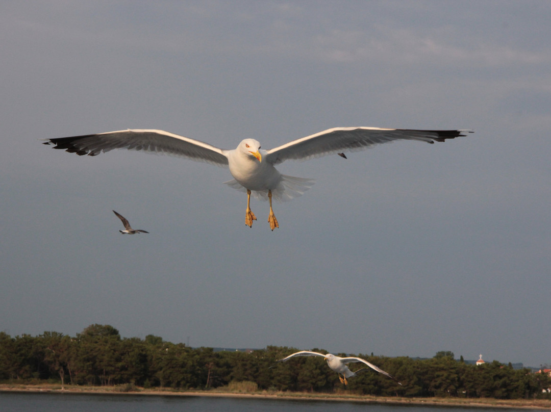 Thassos Port-Thassos Town (Limenas)必去景点