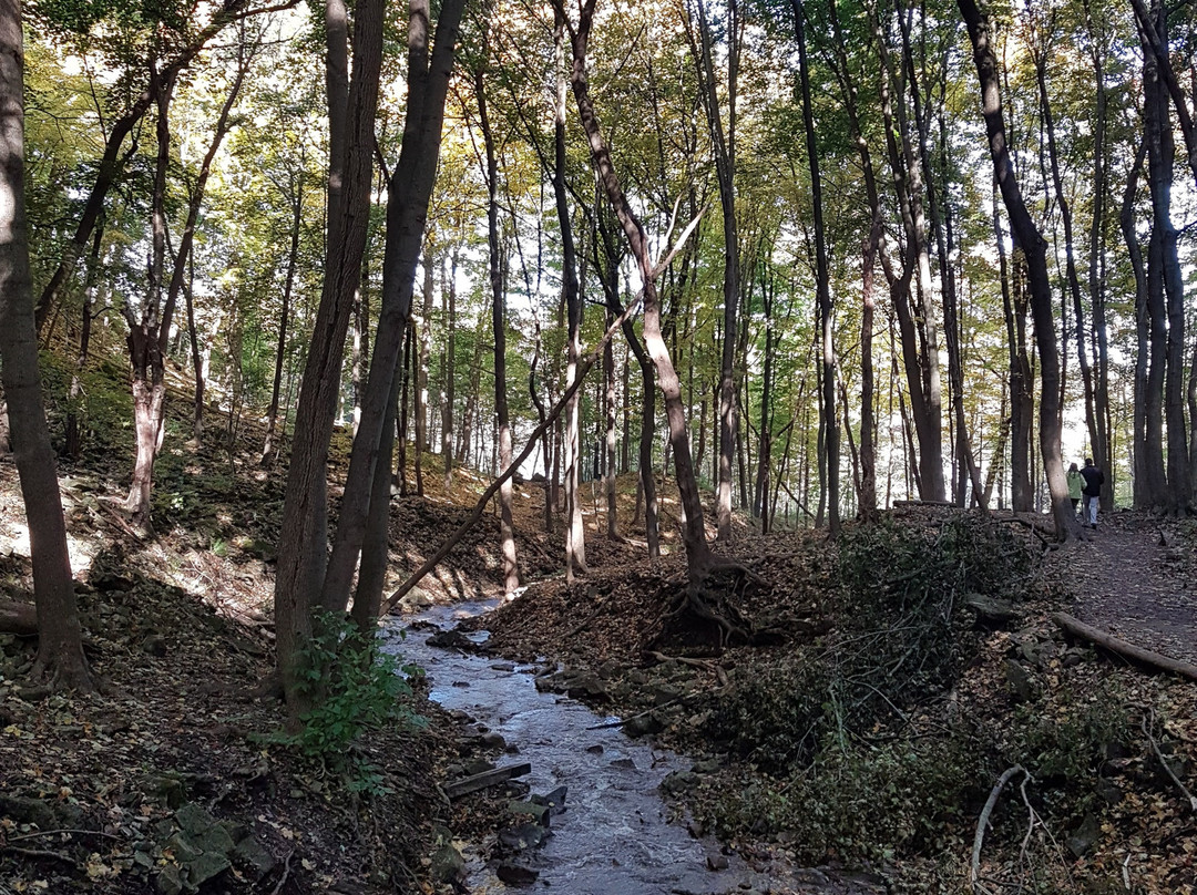 Sherman Falls-汉密尔顿必去景点