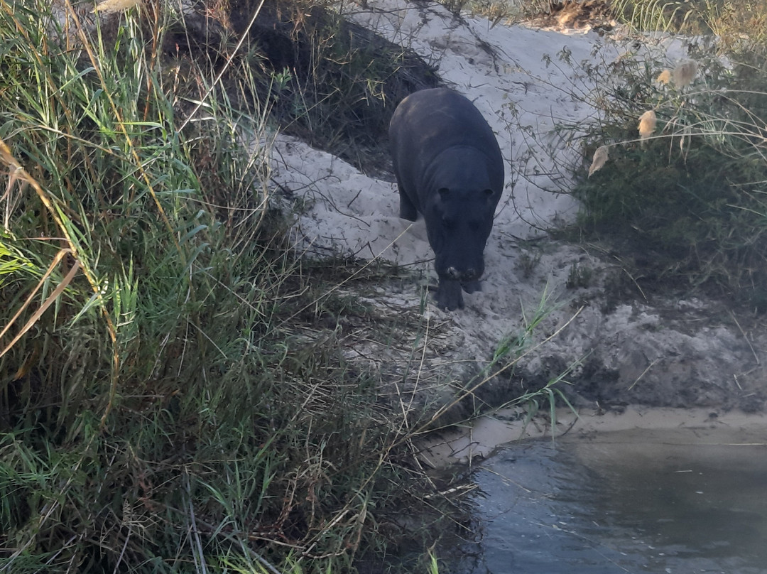 Popa Falls-Divundu必去景点