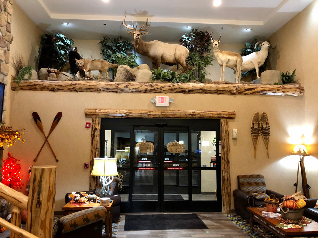 Holiday Inn Express & Suites Donegal By IHG主图