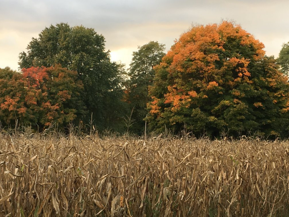 Mendon Ponds Park-Pittsford必去景点