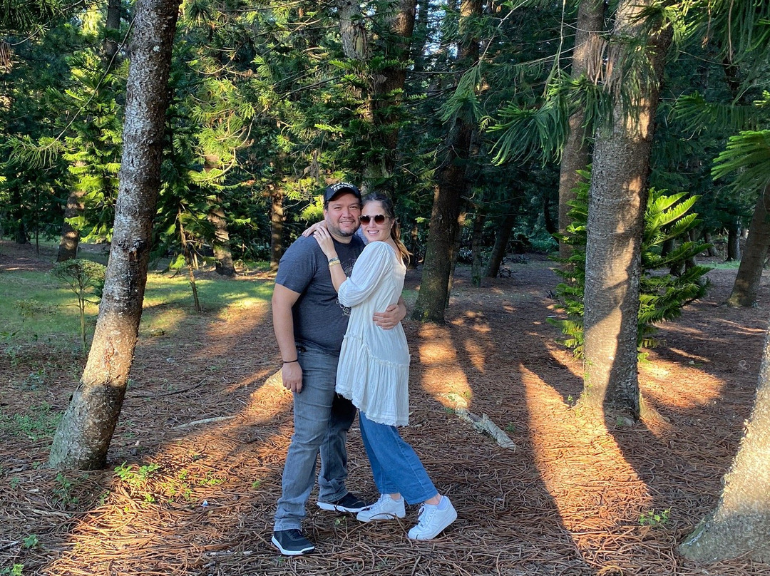 Jardin Botanico Nacional-Santo Domingo Province必去景点