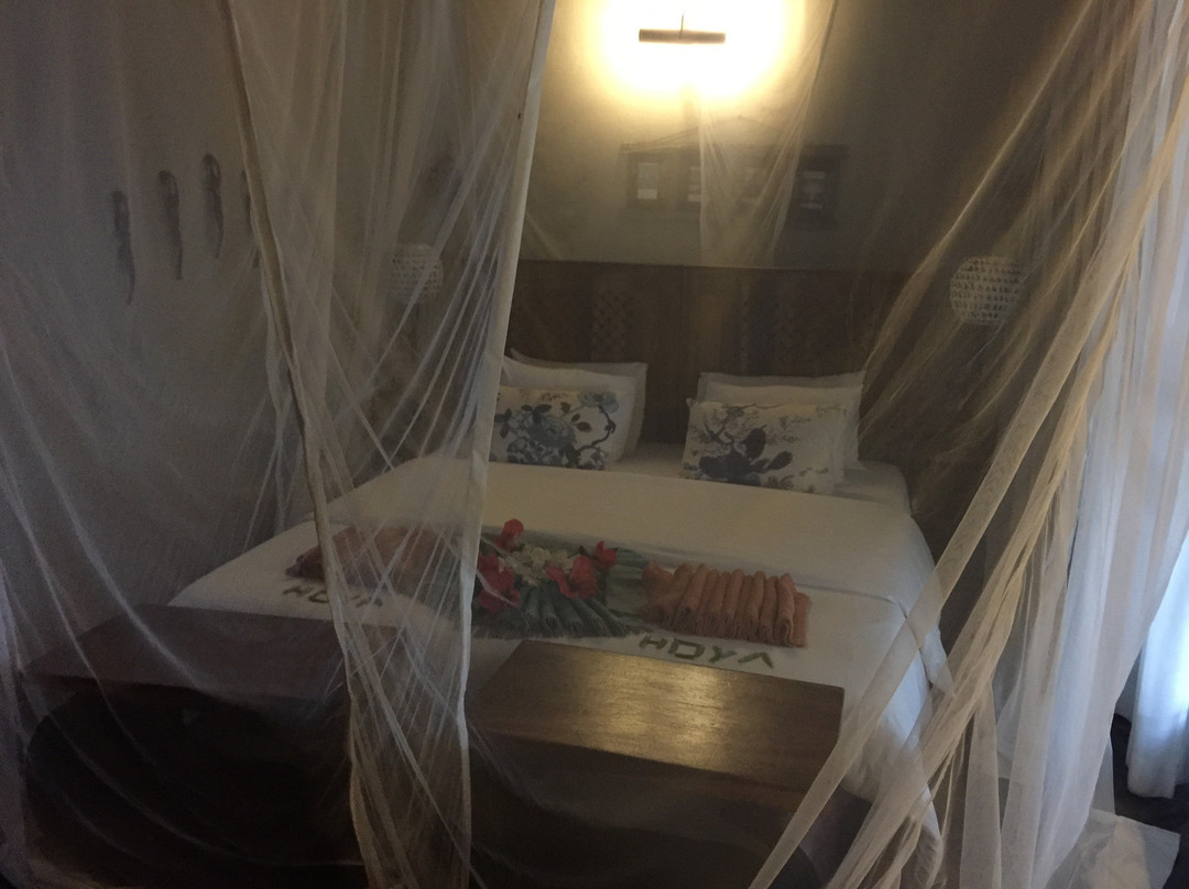 Villas do Indico Ocean Eco-Resort & Spa主图