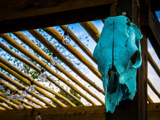 Painted Lady Bed & Brew-阿尔伯克基必去景点