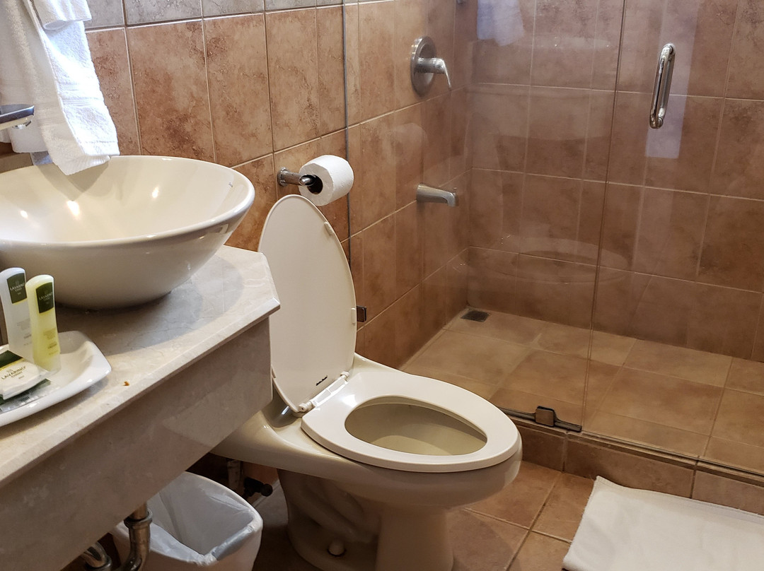 Hotel Colono Beach主图