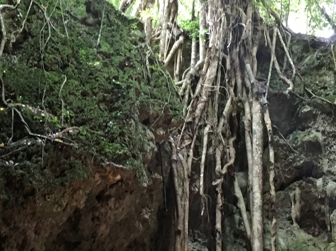Grotte de Hortense-Ile Des Pins必去景点