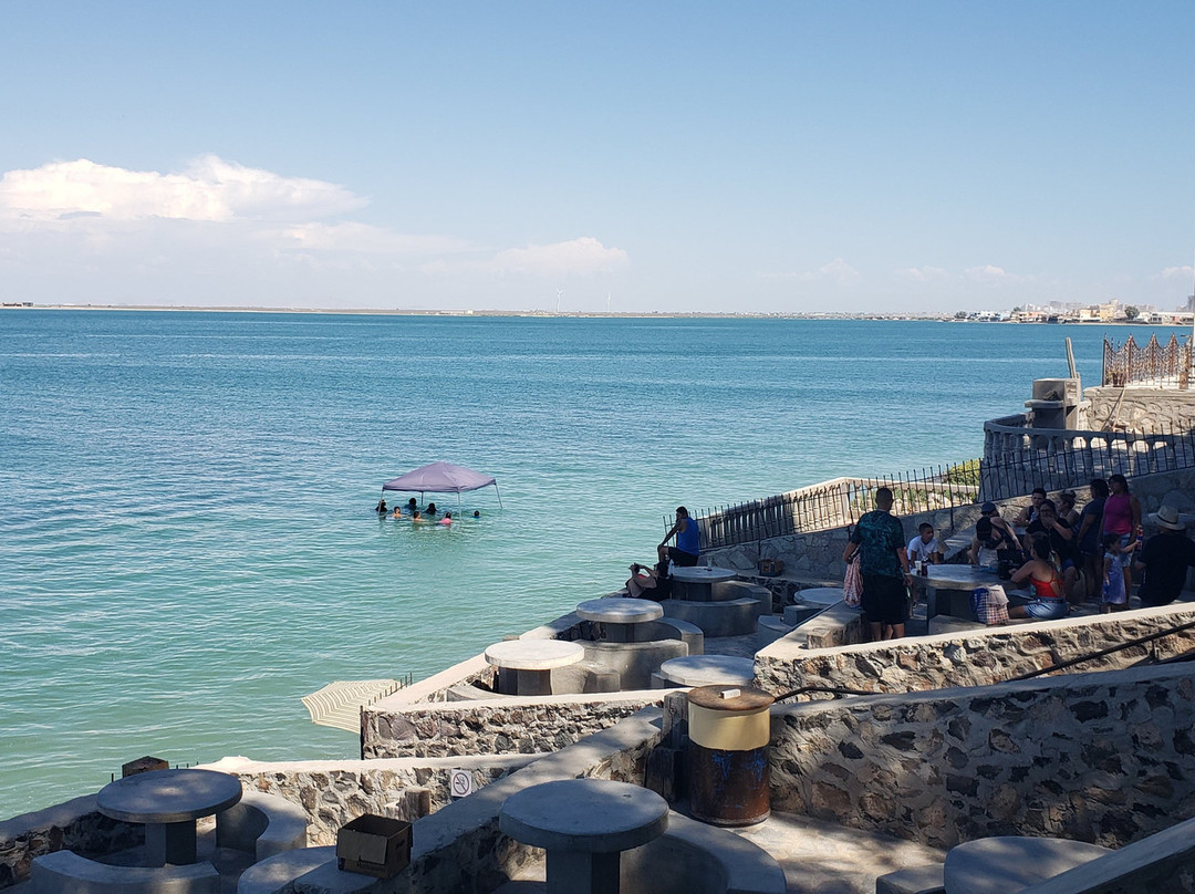 Cholla Bay-La Choya必去景点