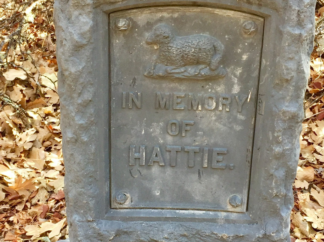 McArthur-Burney Falls Memorial State Park-伯尼必去景点