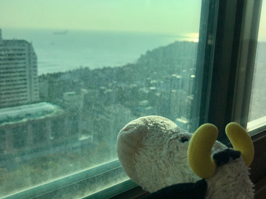 Donghae Hyunjin Tourist Hotel主图