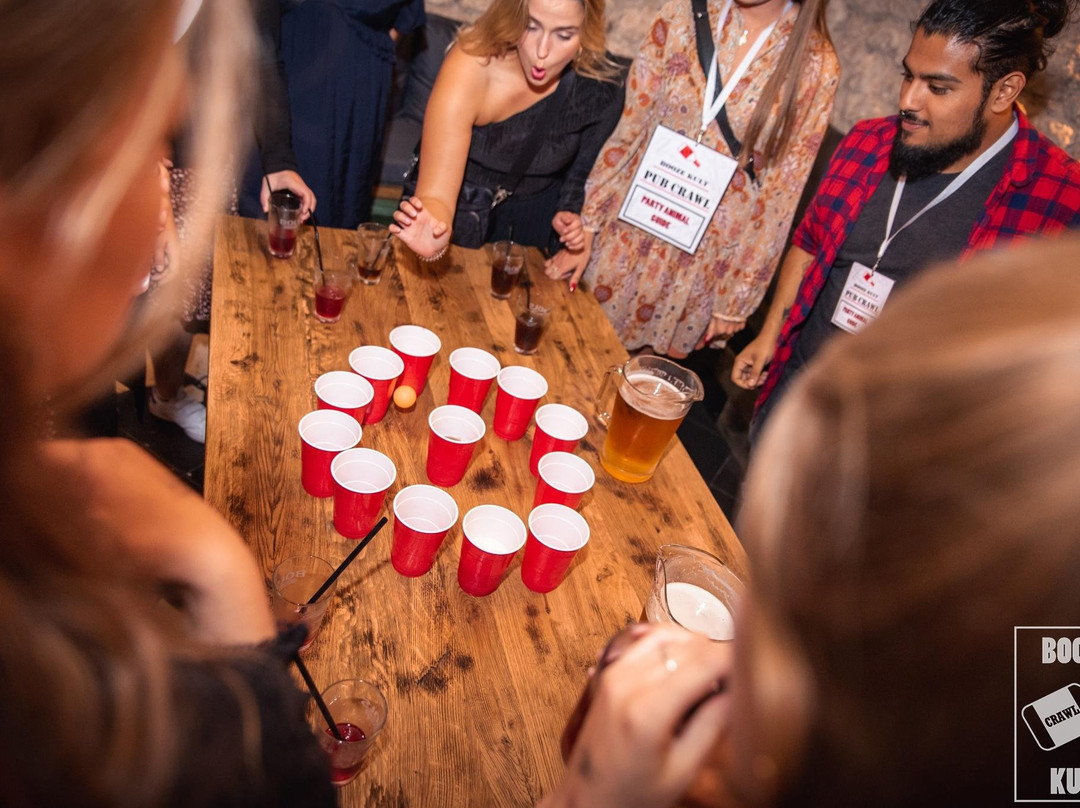 Krakow Party Animals Pub Crawl-克拉科夫必去景点