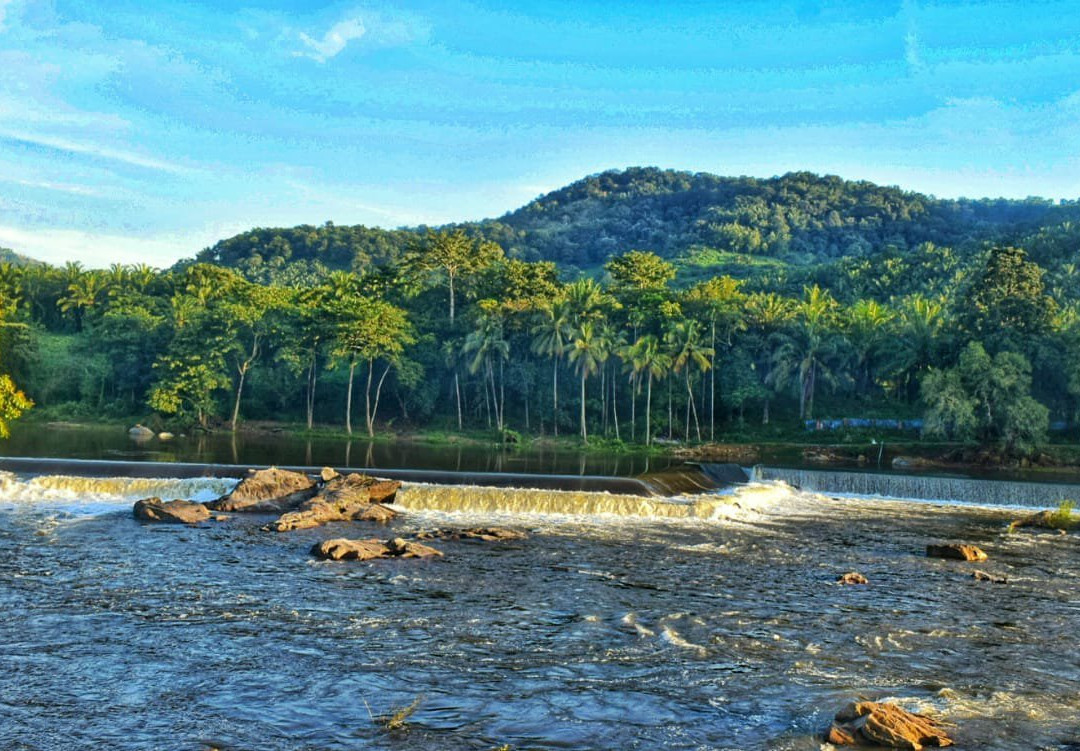 Thumboormuzhi Dam & Garden景点图片