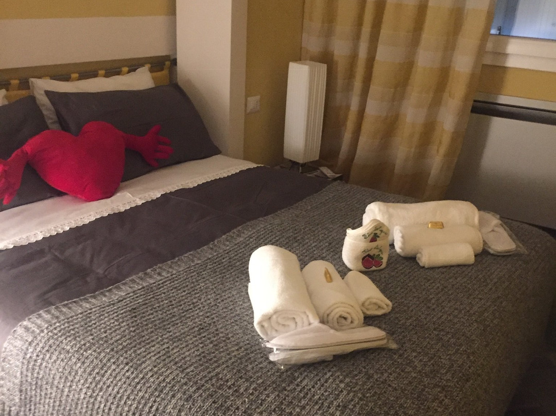 B&B Fico Bologna主图