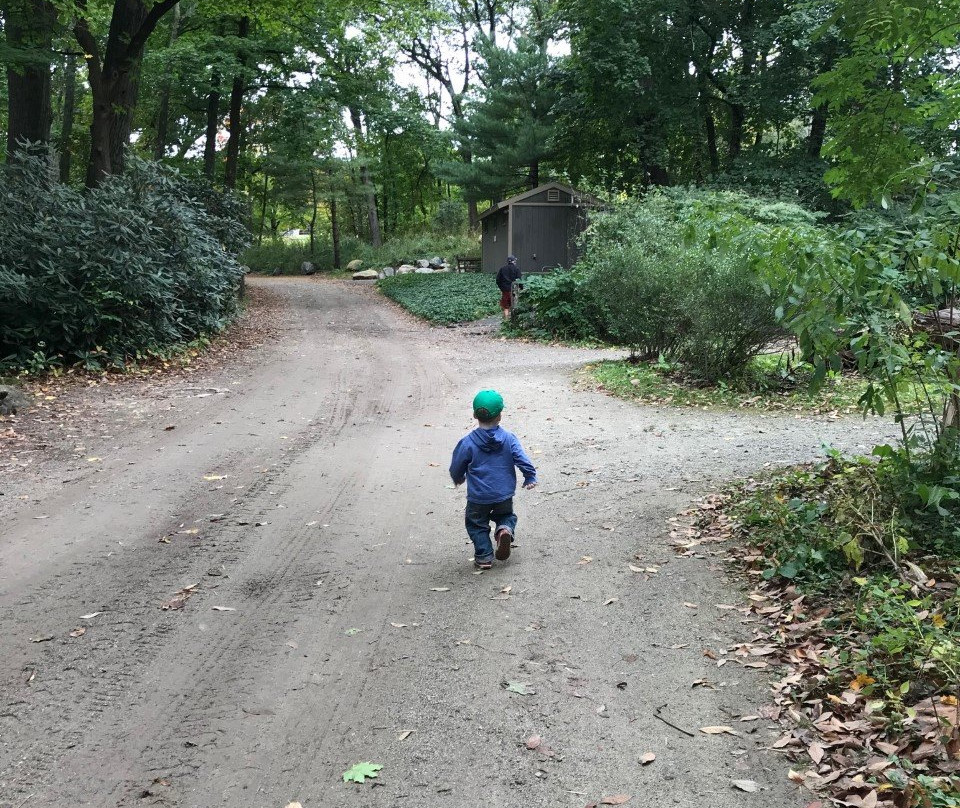 Mass Audubon Drumlin Farm Wildlife Sanctuary-Lincoln必去景点