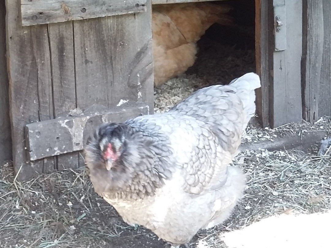 Humphrey History Park and Museum-Evergreen必去景点