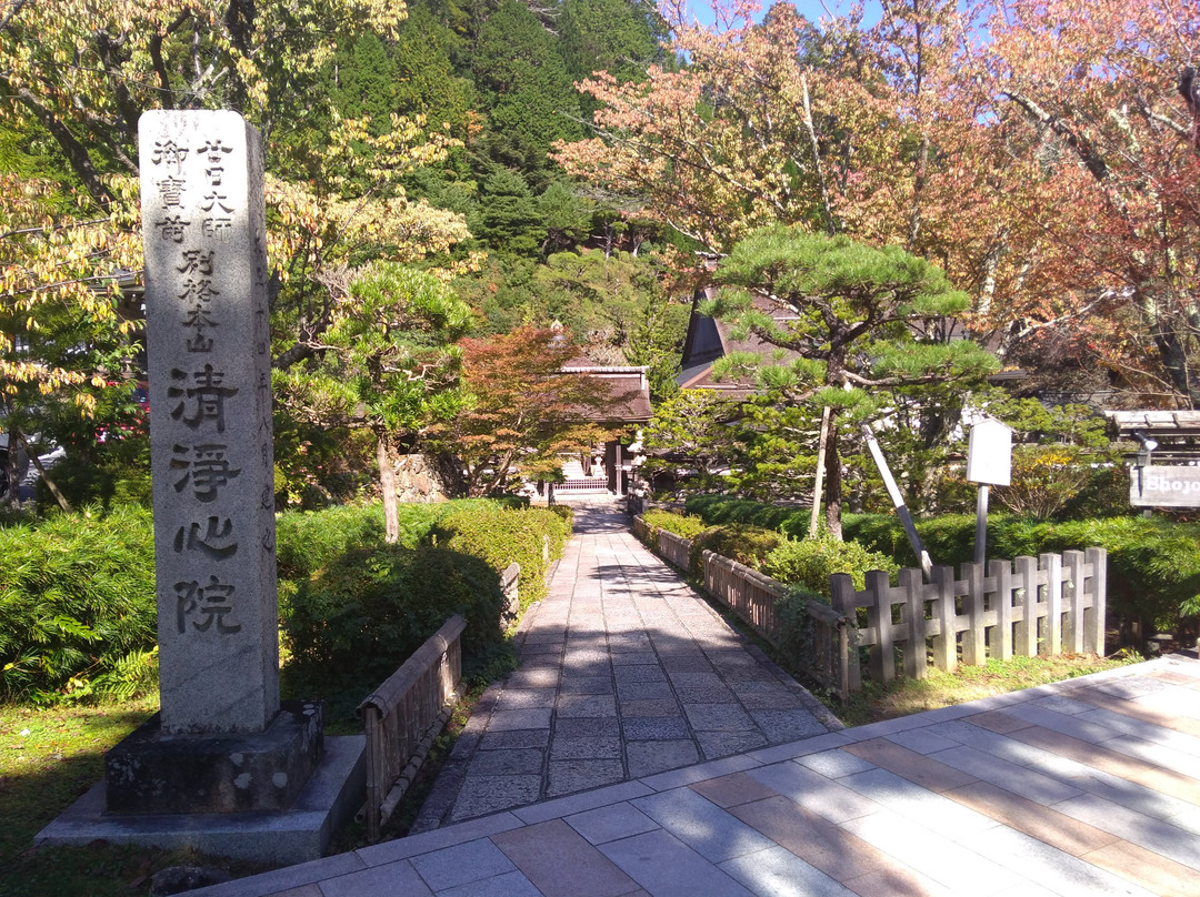 Shojoshin-in Temple景点图片