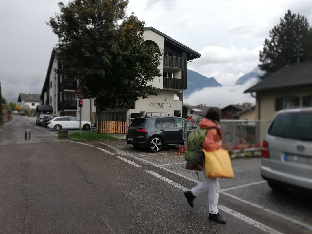 Vitaurina Royal Hotel主图