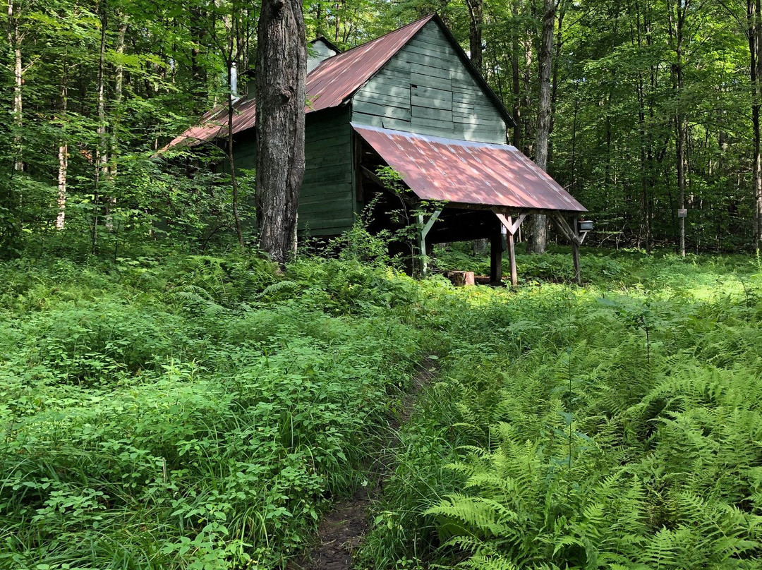 Wiessner Woods-斯托必去景点
