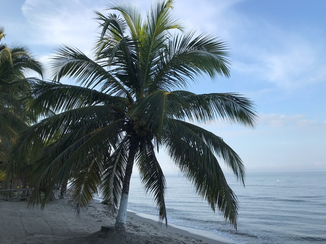 Hotel Costa Linda主图