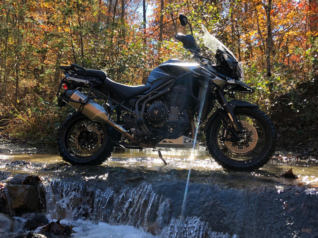 Nate Jennings-罗阿诺克必去景点