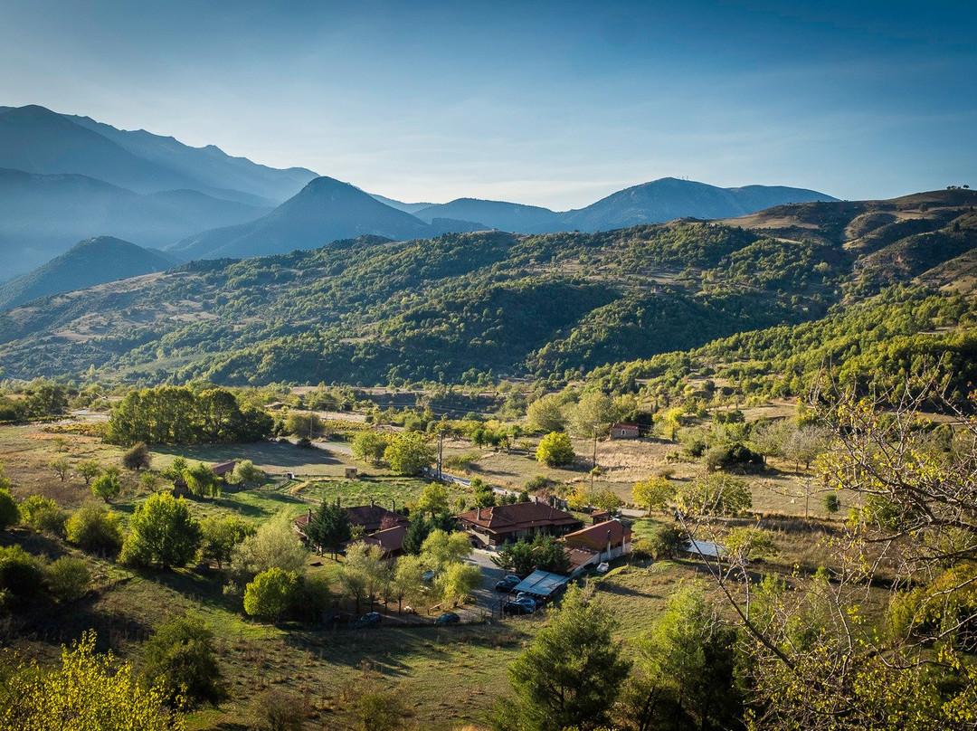 Orias Guesthouse & Farm主图