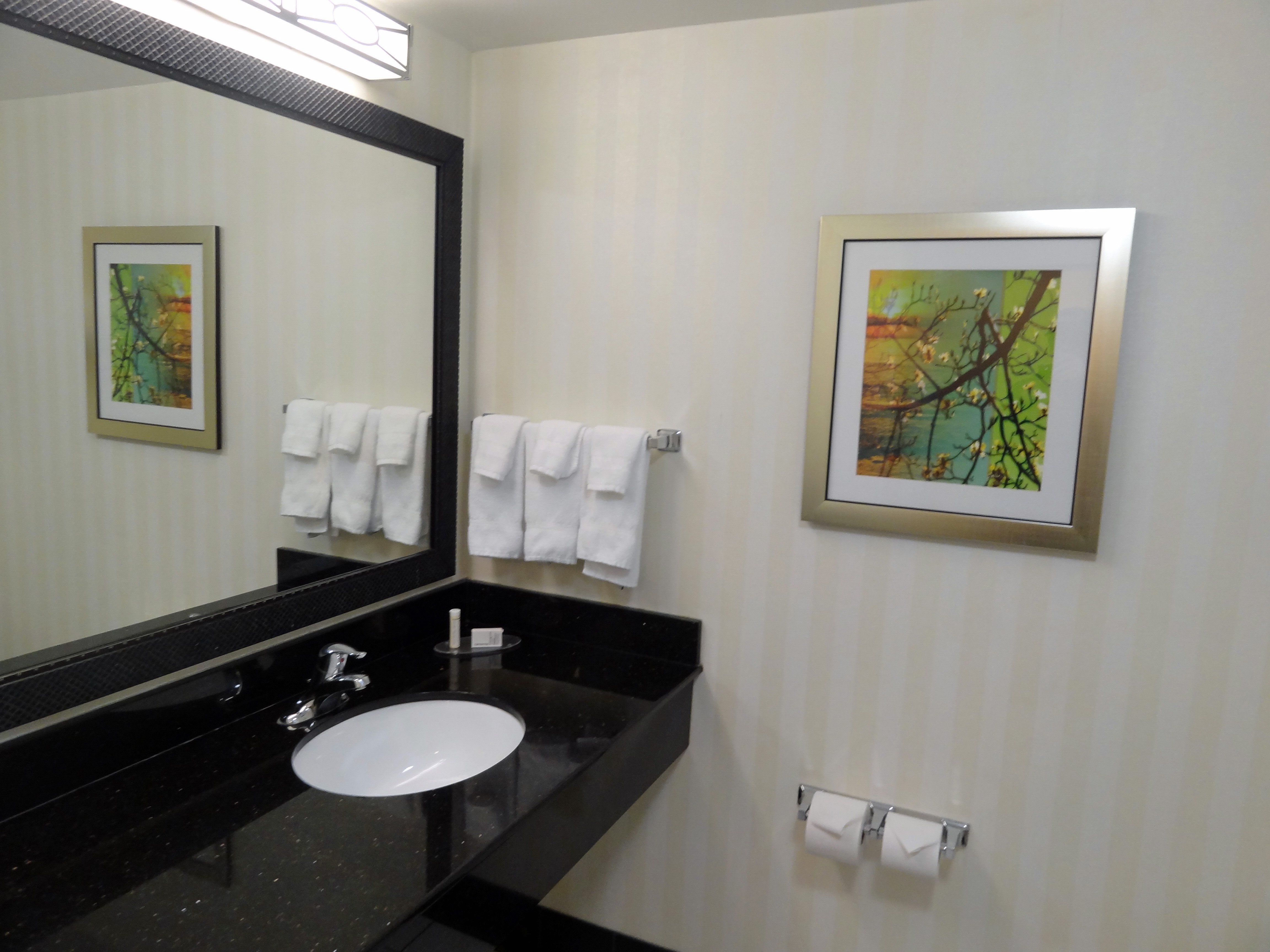 Fairfield by Marriott Inn & Suites Buffalo Airport-浴室