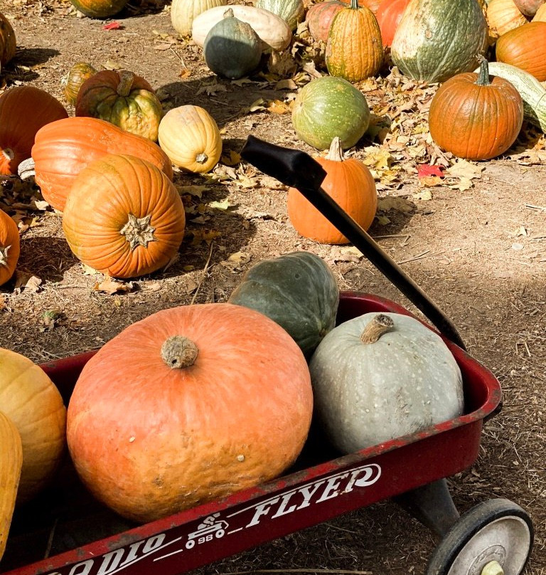 Irons Fruit Farm-Lebanon必去景点