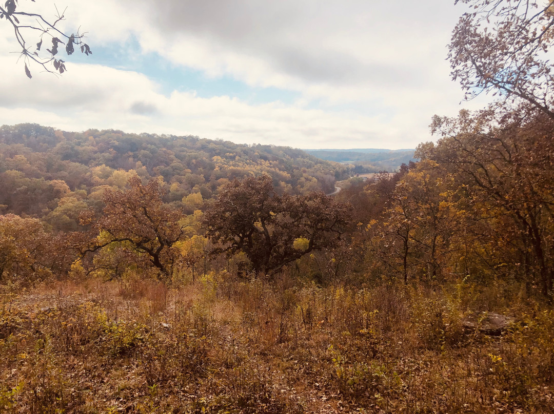 Morton Forest County Park-Mazomanie必去景点