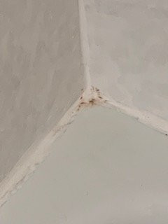 Bangor Grande Hotel & Conference Center主图