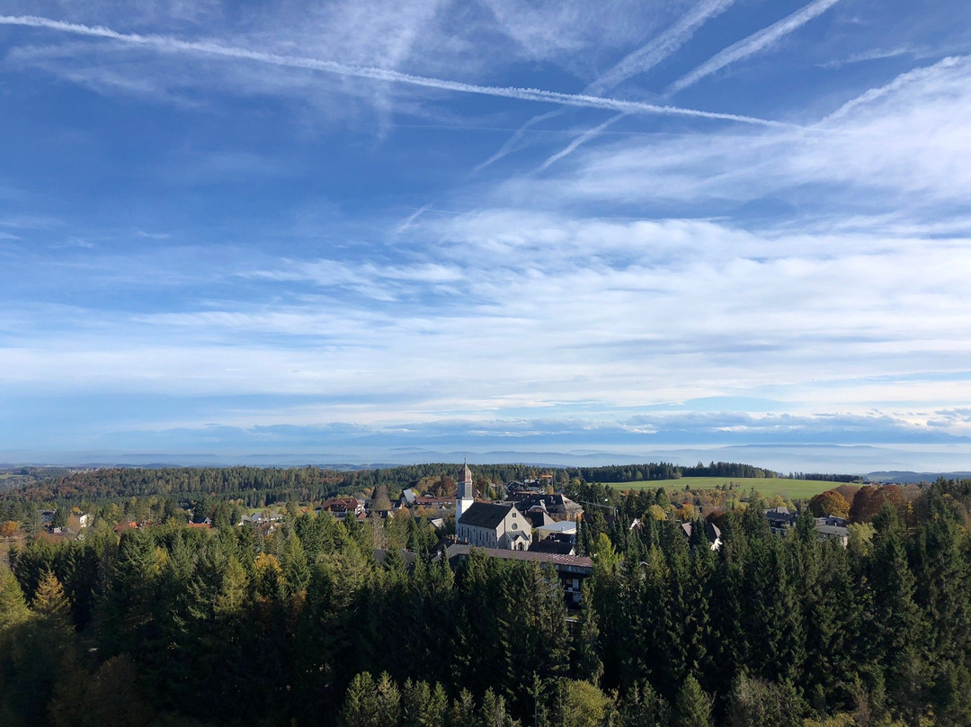 Rothaus-Zaepfle-Turm景点图片
