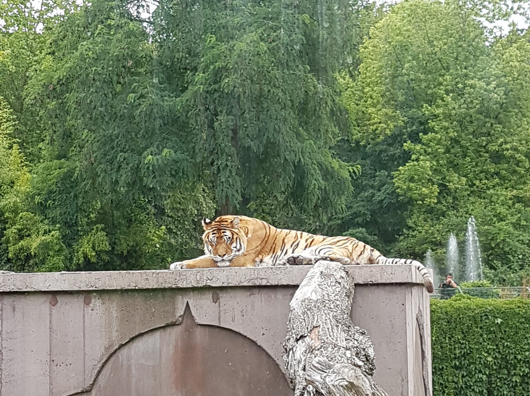 Bellewaerde Park景点图片