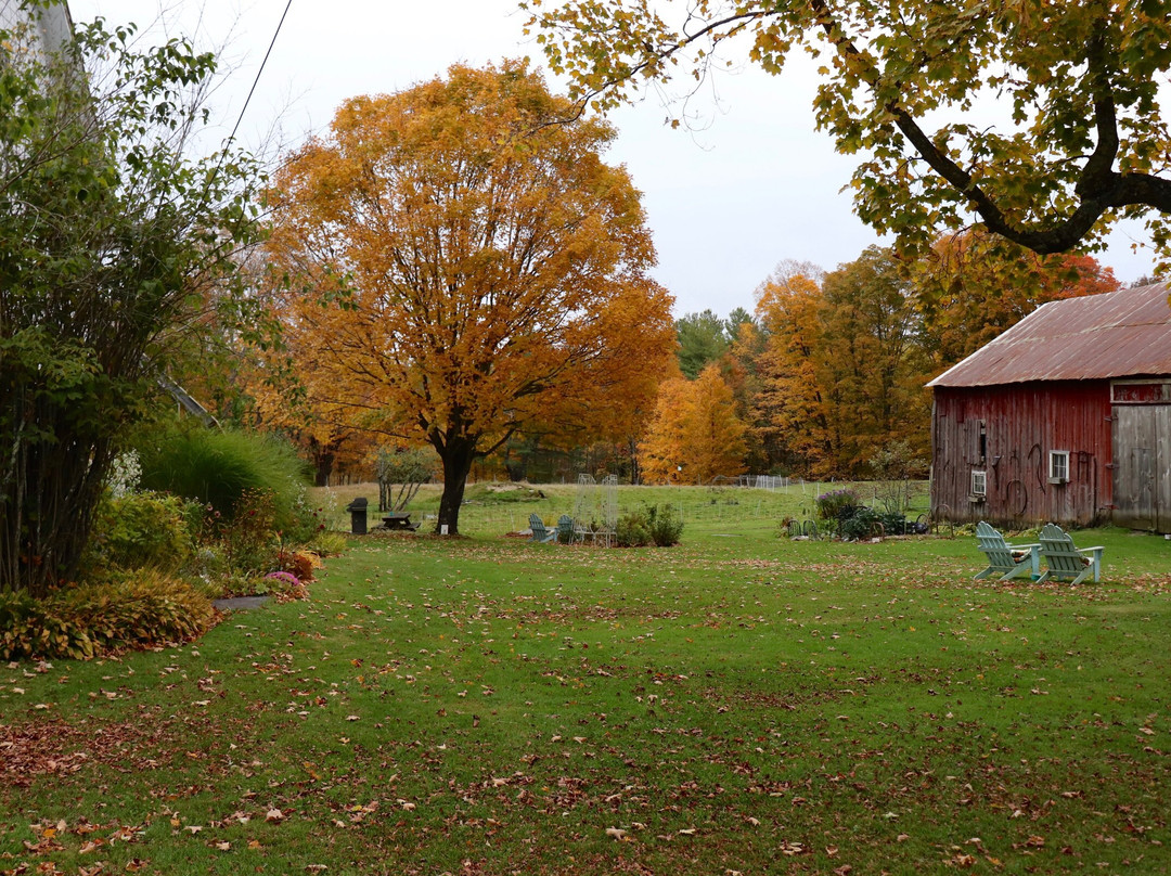 Maple House Bed & Breakfast主图