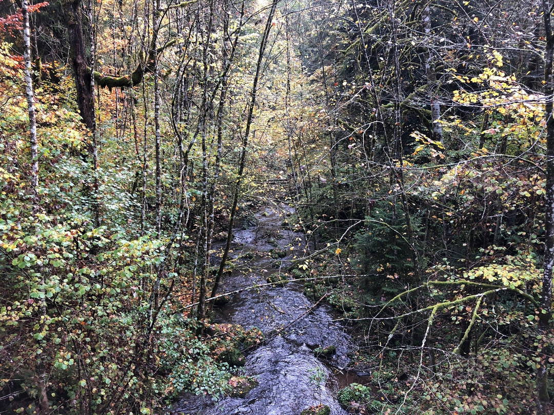 Felsenweg Höchenschwand景点图片
