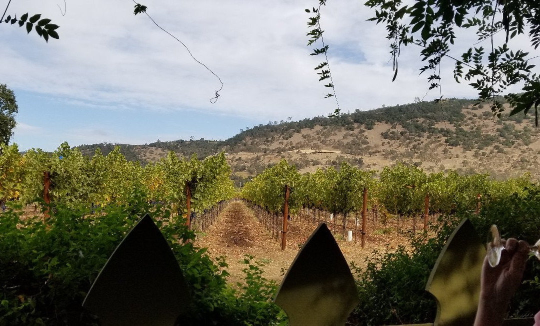 PlumpJack Winery景点图片