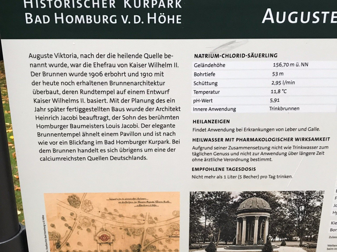 Auguste-Viktoria-Brunnen-巴特洪堡必去景点