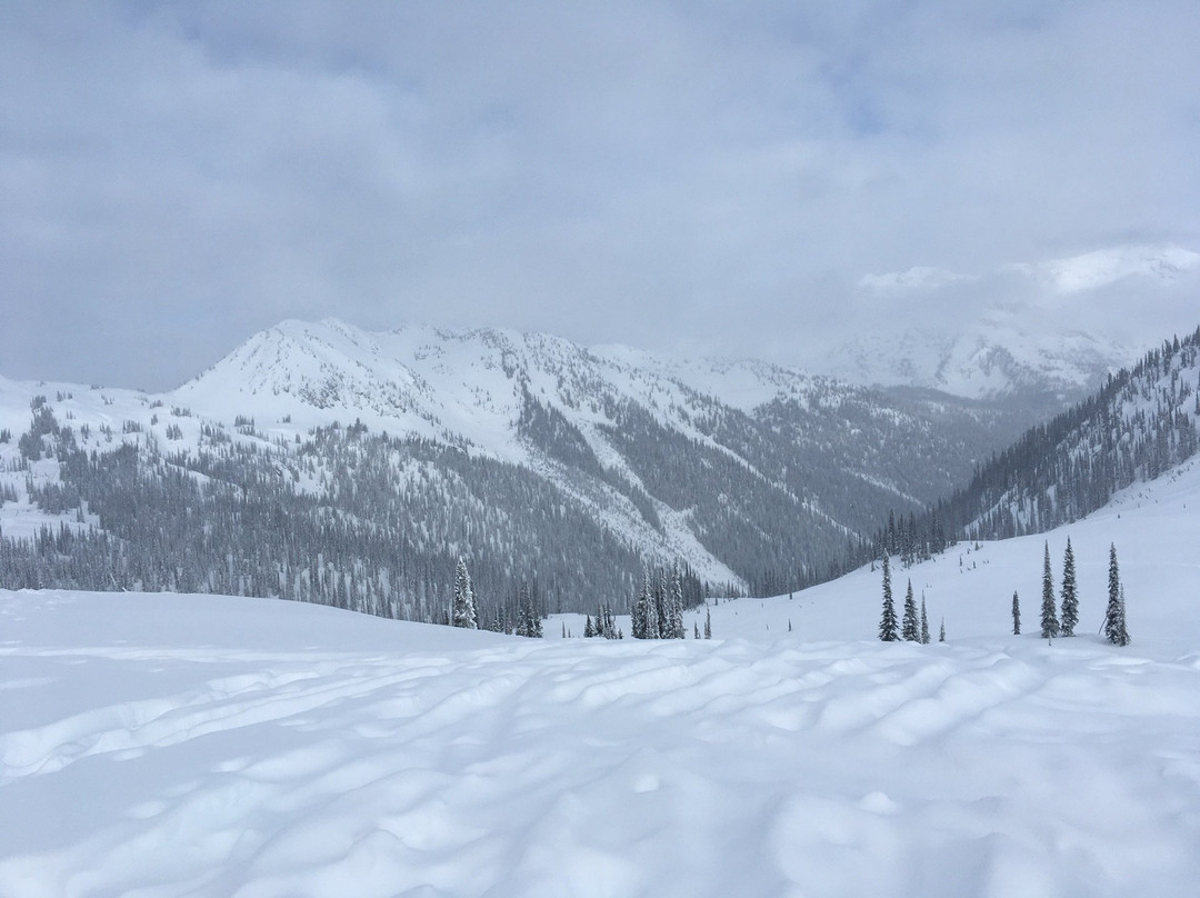 Great Northern Snowcat Skiing景点图片