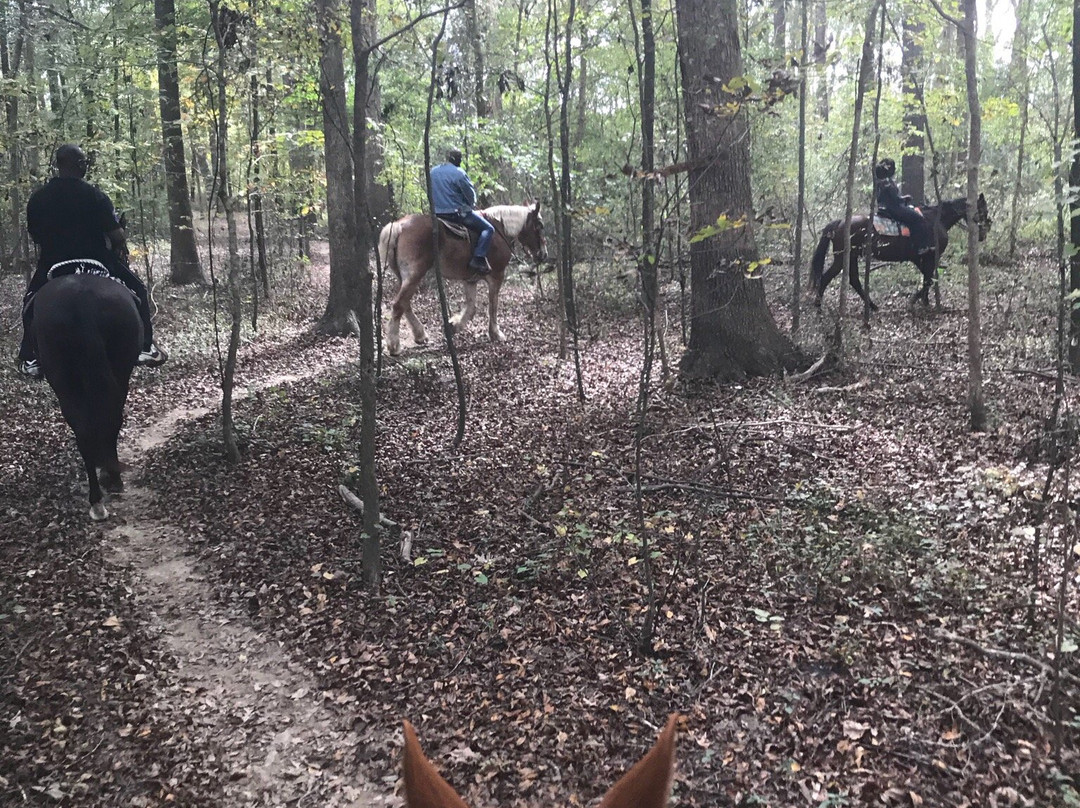 Country Time Equestrian Events