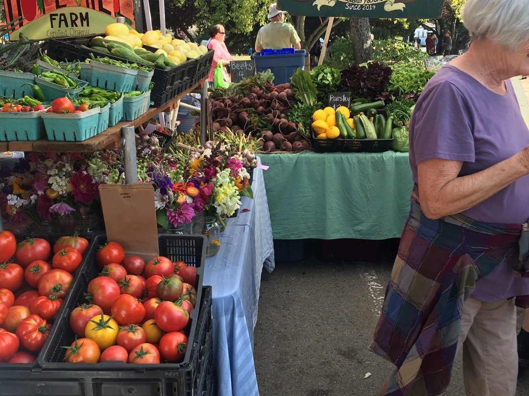 Salt Spring Island's  Saturday Market景点图片