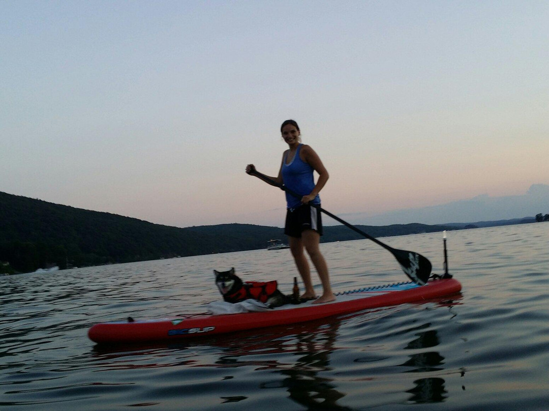 Jersey Paddle Boards景点图片