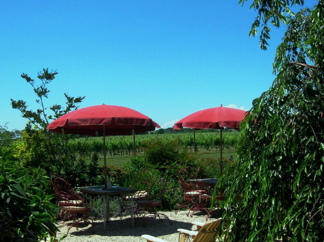 Croteaux Vineyards景点图片