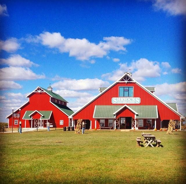 哥伦比亚市旅游景点-Shryocks Callaway Farms