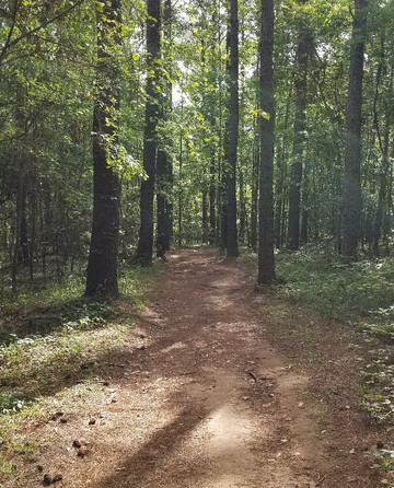 Wacissa旅游景点-Lafayette Heritage Trail Park