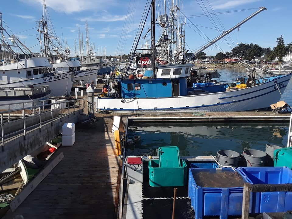 半月湾旅游景点-Pillar Point Harbor