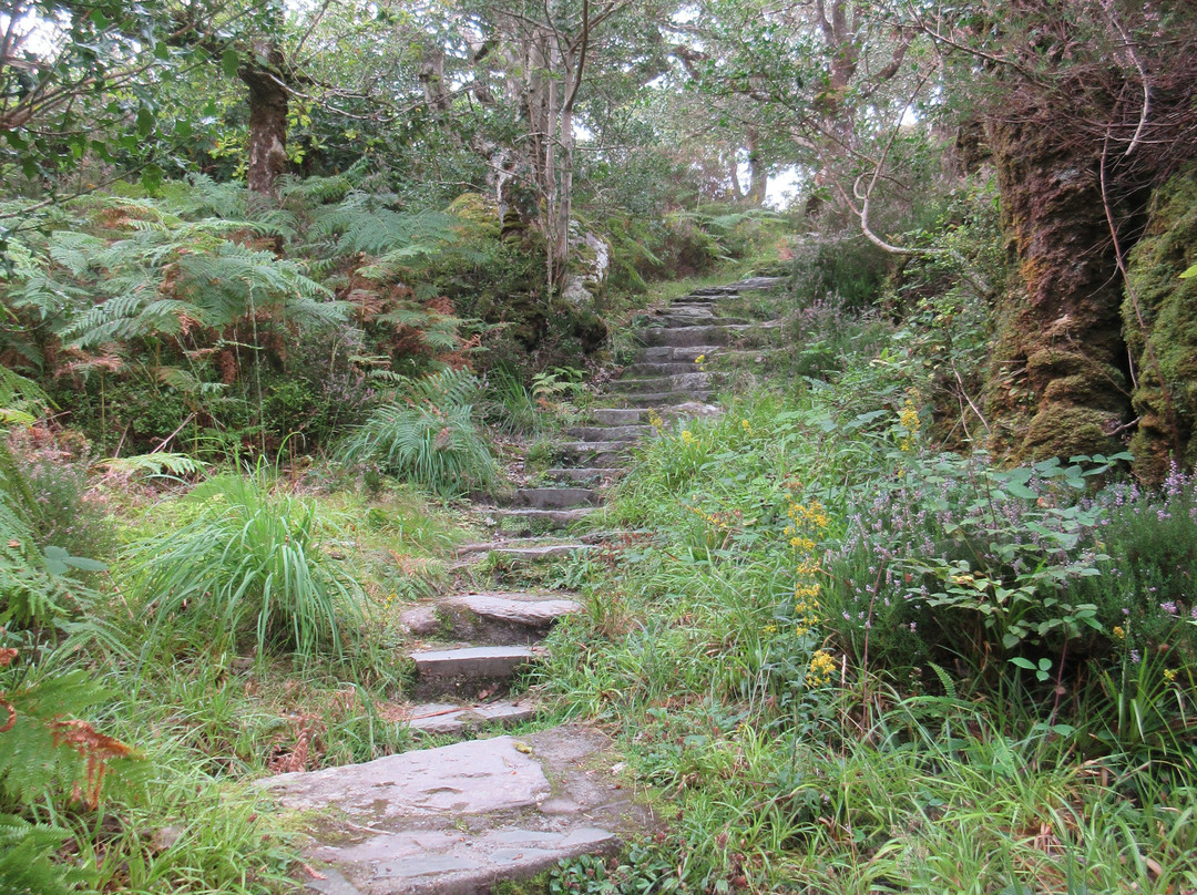 Glengarriff Nature Reserve-Glengarriff必去景点