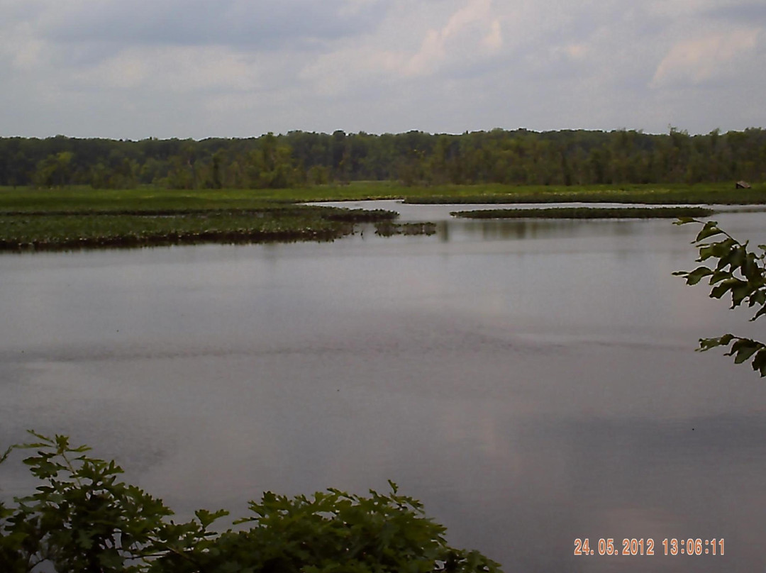 Providence Forge旅游景点-Cumberland Marsh Natural Area Preserve