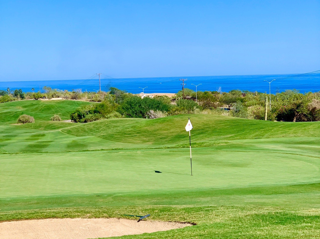 Cabo Del Sol Golf Club景点图片